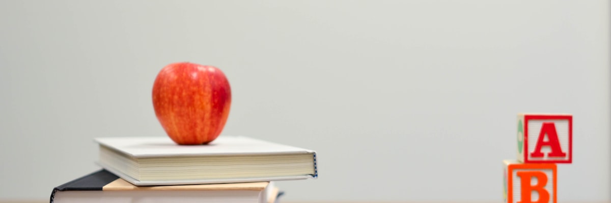 Child in an educational setting